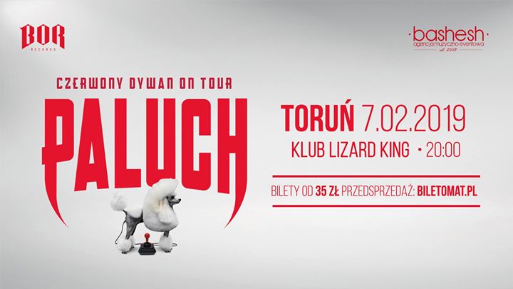 Paluch "Czerwony Dywan" Toruń 07-02-2019