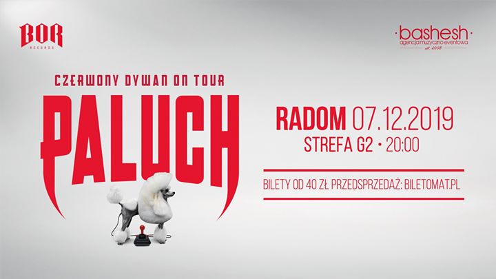 Paluch • Czerwony Dywan • Radom 07.12.2019