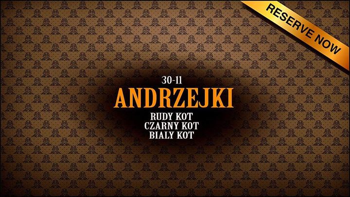 Andrzejki ∆ Czarny Biały Rudy Kot