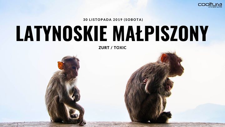 Latynoskie Małpiszony / Sobota / Cooltura Chmielna 101