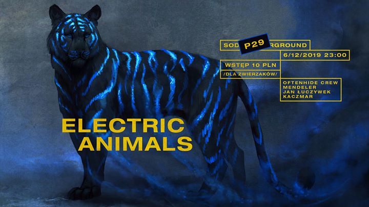 Electric Animals // 6.12