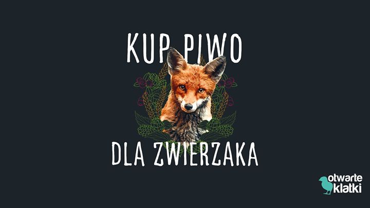 Kup Piwo Dla Zwierzaka - Toruń, edycja grudniowa!