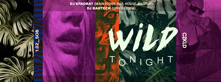 Wild tonight // 1.02