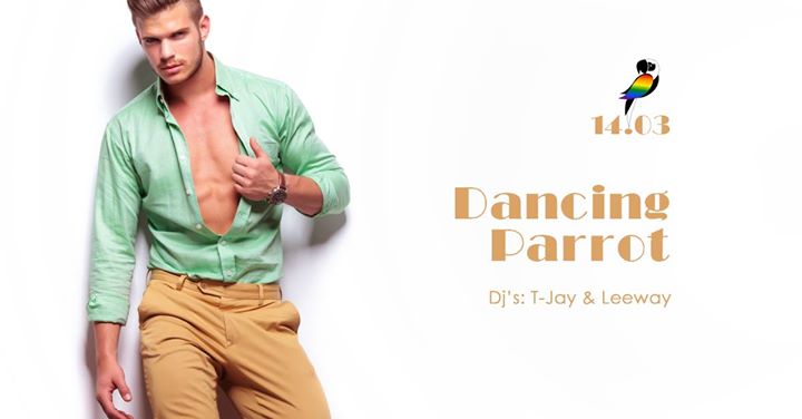 Dancing Parrot | 14.03